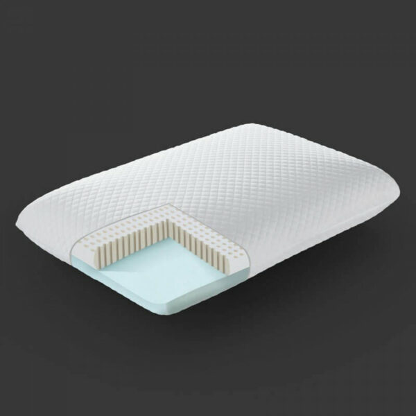 Latex and Memory Foam Pillow